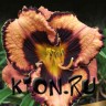 Лилейник гибридный Овесом Блоссом (Hemerocallis hybrid Awesome Blossom)