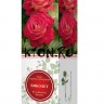 Роза чайно-гибридная Биколет (Rose Hybrid Tea Ambassador)