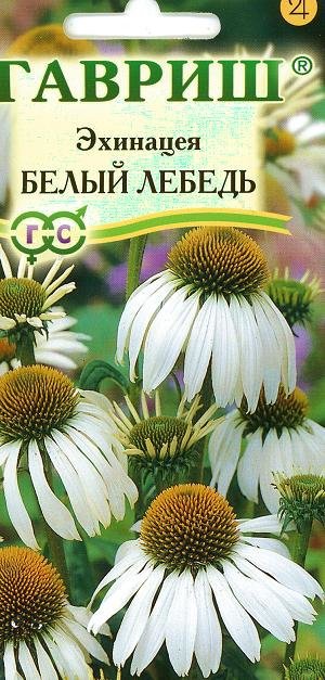 semena-cvetov-ehinoceya-beliy-lebed.jpg