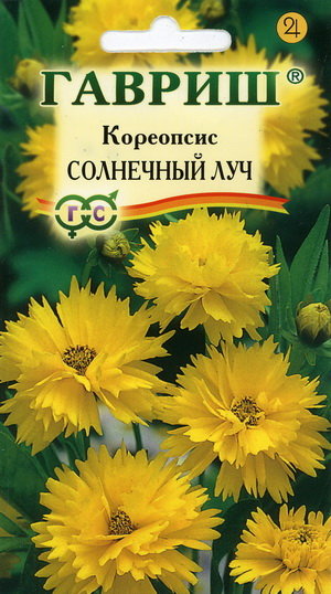 semena-cvetov-сoreopsis-solnechniy-luch.jpg