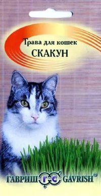 Семена Трава для кошек Скакун