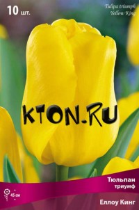 Тюльпан Триумф Йеллоу Кинг (Tulipa triumph Yellow King)