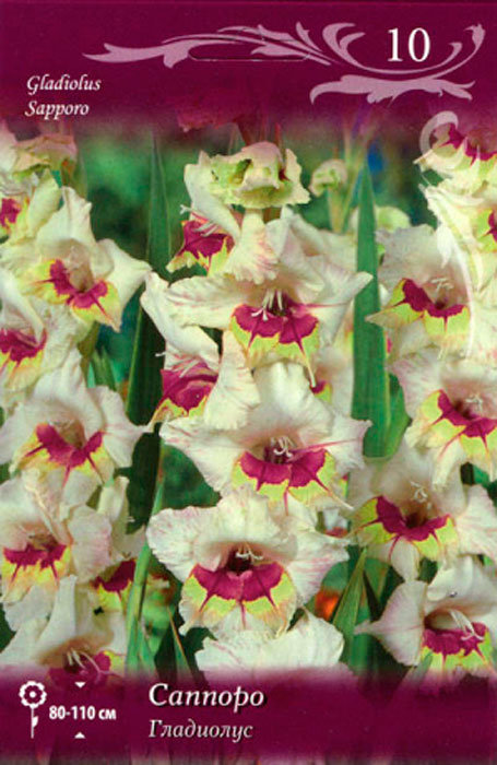 lukovichnie-Gladiolus-sapporo.jpg