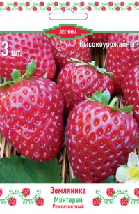 Земляника садовая (клубника) Монтерей