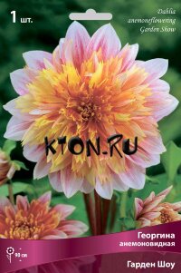Георгина анемоновидная Гарден Шоу (Dahlia anemoneflowering Garden Show)