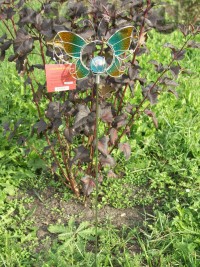 Бабочка с шаром