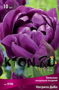 Тюльпан махровый поздний Негрита Дабл (Tulipa double late Negrita Double)