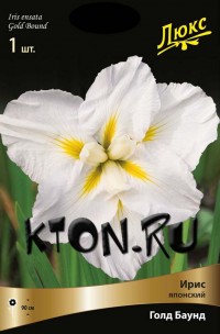 Ирис японский Голд Баунд (Iris ensata Gold Bount)