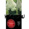 Гортензия метельчатая Мэджикал Кэндл (Hydrangea paniculata Magical Candle)