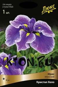 Ирис японский Кристал Хало (Iris ensata Crystal Halo)