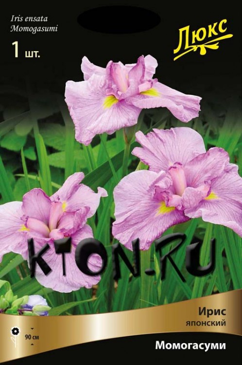Ирис японский Момогасуми (Iris ensata Momogasumi)