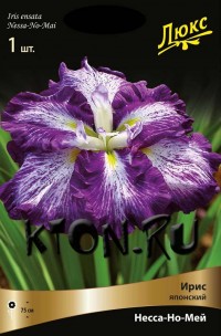 Ирис японский Несса-Но-Мей (Iris ensata Nessa-No-Mai)
