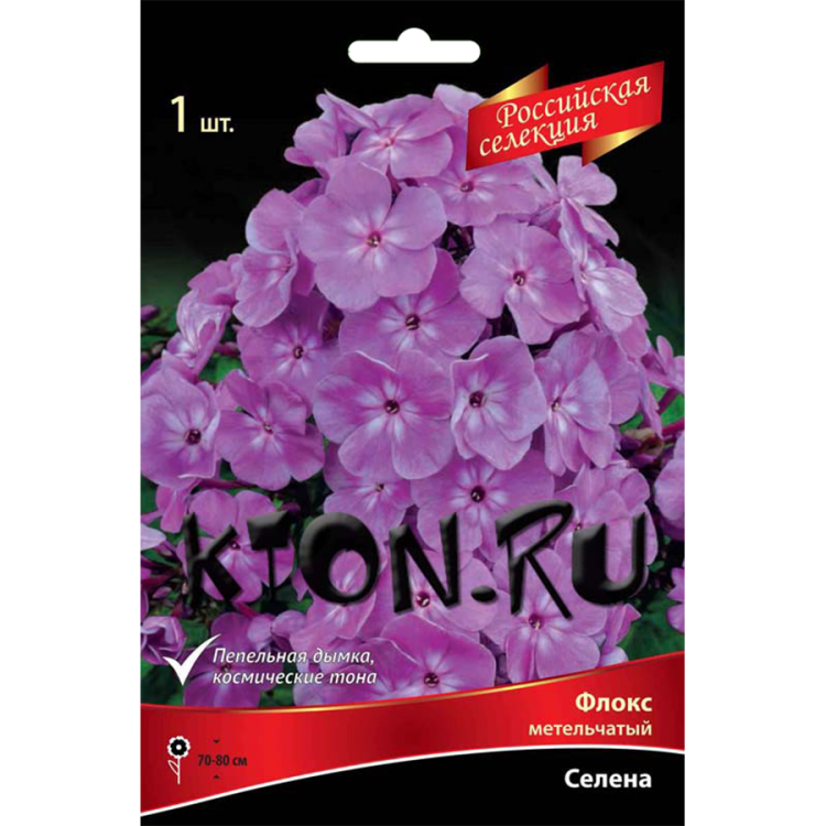 Флокс метельчатый Селена (Phlox paniculata Selena) Российская селекция