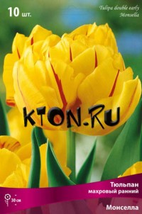 Тюльпан махровый ранний Монселла (Tulipa double early Monsella)