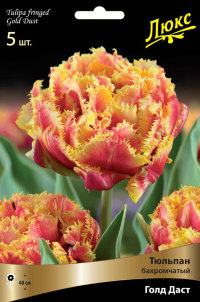 Тюльпан бахромчатый Голд Даст (Tulipa fringed Gold Dust)