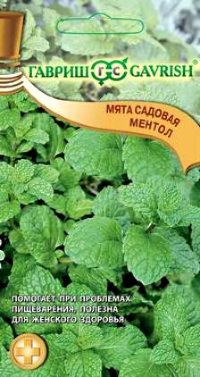 Семена Мята садовая ментол