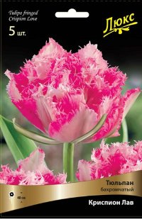 Тюльпан бахромчатый Криспион Лав (Tulipa fringed Crispion Love)