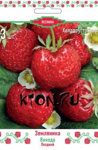 Земляника садовая (клубника) Викода