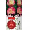 Роза чайно-гибридная Дабл Делайт (Rose Hybrid Tea Double Delight)