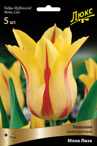 Тюльпан лилиецветный Мона Лиза (Tulipa lilyflowered Mona Lisa)