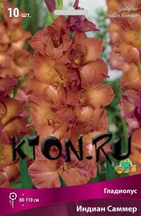 Гладиолус Индиан Саммер (Gladiolus Indian Summer)