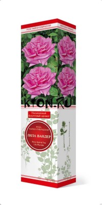 Роза чайно-гибридная Лилла Вандер (Rose Hybrid Tea Lila Wunder)  
