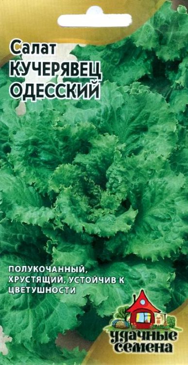 semena-salat-kucheryavec-odesskiy.jpg