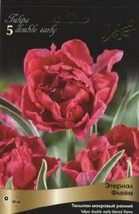 Тюльпан махровый ранний Этернал Флейм (Tulipa double early Eternal Flame)