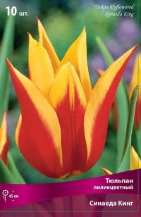 Тюльпан лилиецветный Синаеда Кинг (Tulipa lilyflowered Synaeda King)