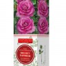 Роза чайно-гибридная Виолет Парфюм (Rose Hybrid Tea Violette Parfume)