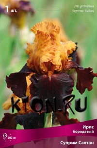 Ирис бородатый Суприм Салтан (Iris germanica Supreme Sultan)