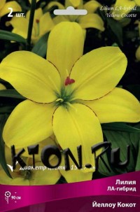Лилия ЛА гибрид Йеллоу Кокот (Lilium LA-hybrid Yellow Cocotte)