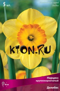 Нарцисс крупнокорончатый Делибес (Narcissus large-cupped Delibes)