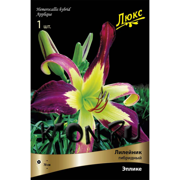 Лилейник гибридный Эплике (Hemerocallis hybrid Applicue)