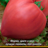 Рассада томатов среднерослых в ассортименте